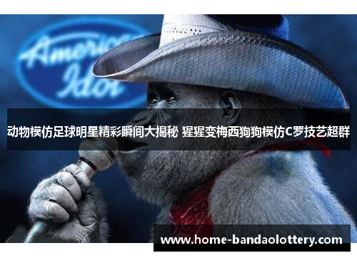 动物模仿足球明星精彩瞬间大揭秘 猩猩变梅西狗狗模仿C罗技艺超群